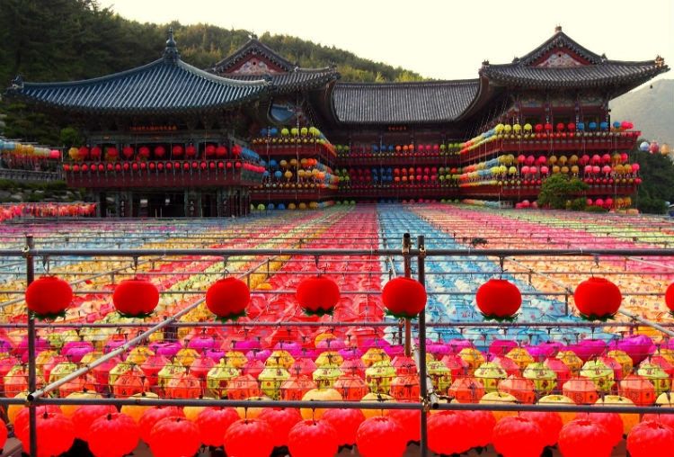Toàn bộ ngôi chùa sẽ được trang hoàng trong hàng ngàn chiếc lồng đèn đủ màu sắc, đủ hình dáng