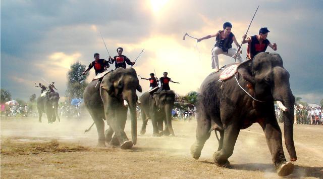 Lễ hội đua voi