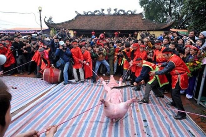 Lễ hội tế heo tại Bắc Ninh
