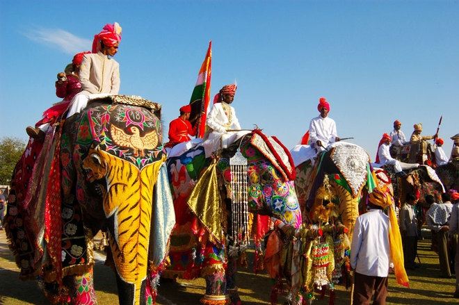 Lễ hội voi ở Jaipur (Ấn Độ)