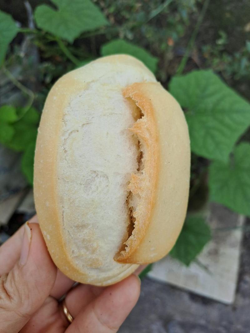 Lò Bánh Mì Sài Gòn Bơ Nvc