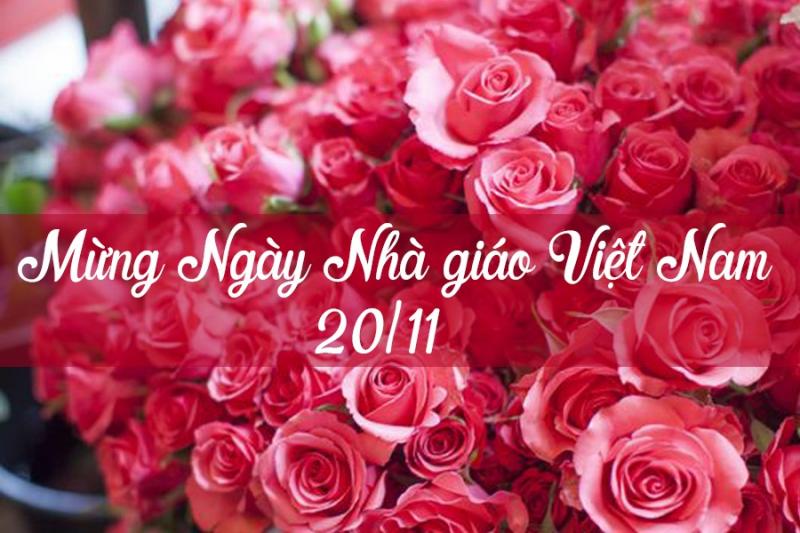 Mừng ngày nhà giáo Việt Nam
