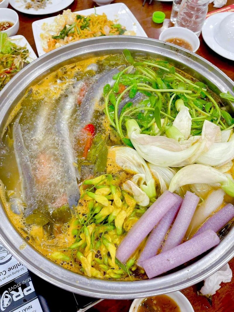 Cá Tầm Phan Thành