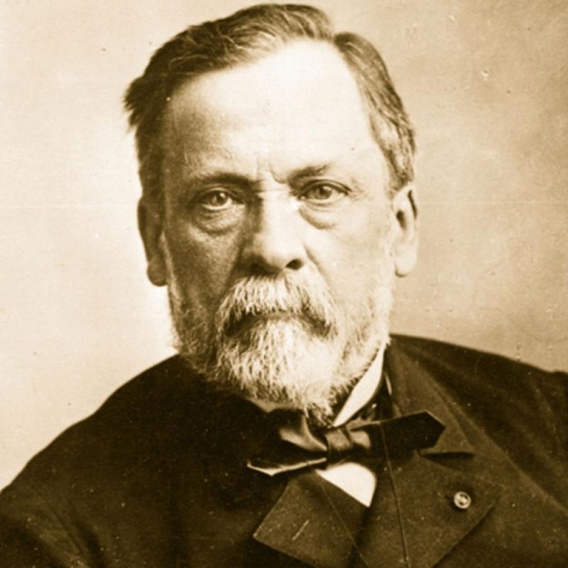 Nhà vi sinh vật học Louis Pasteur