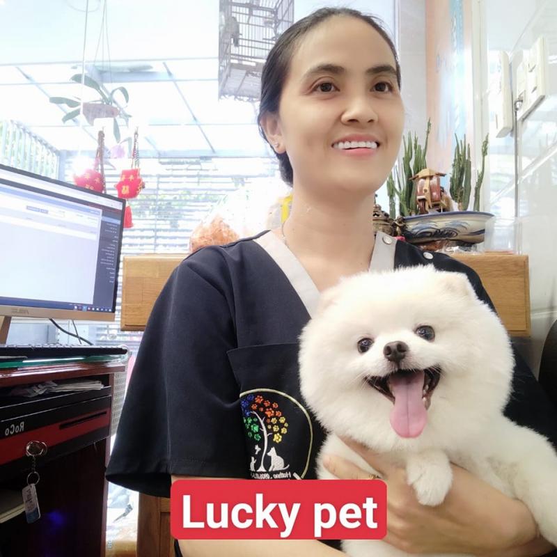 Lucky Pet Clinic