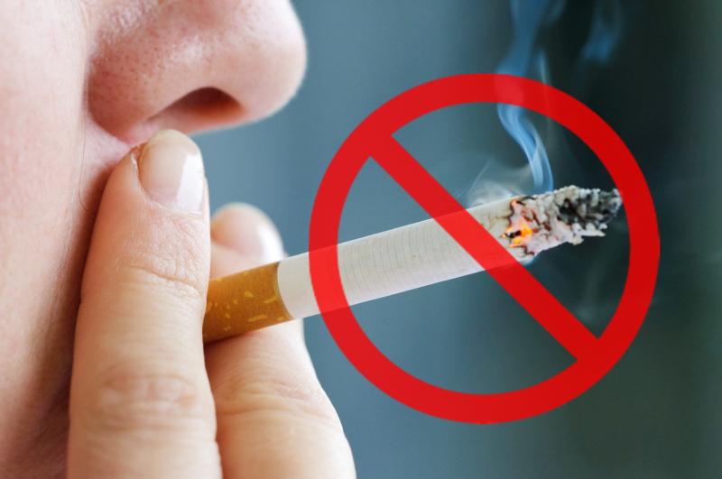 Những thay đổi sinh lý do việc cai thuốc lá có thể làm thay đổi động dược học hay dược lược học của sản phẩm