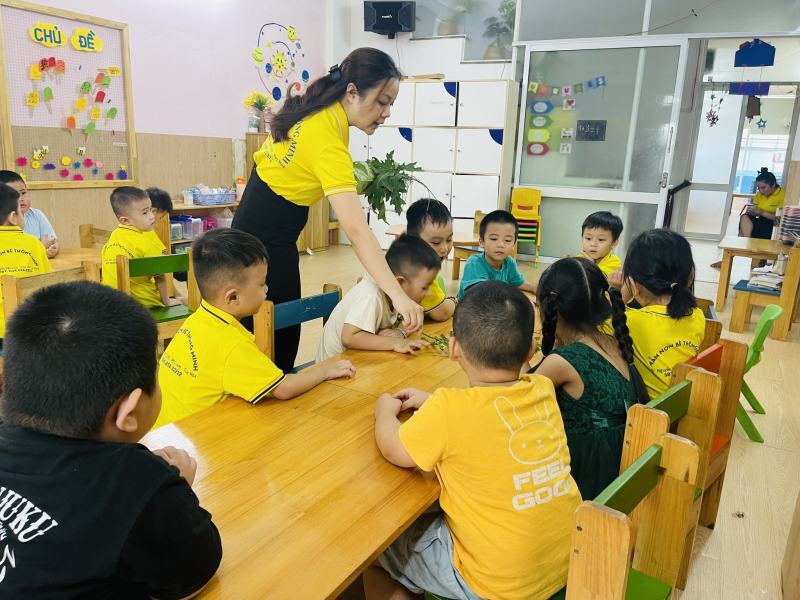 Mầm Non Song Ngữ Clever Kids School