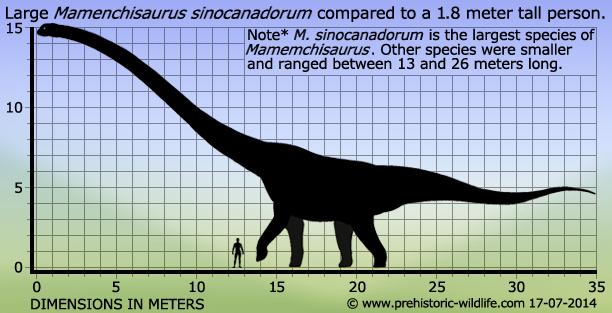 Mamenchisaurus là loài khủng long lớn nhất thế giới