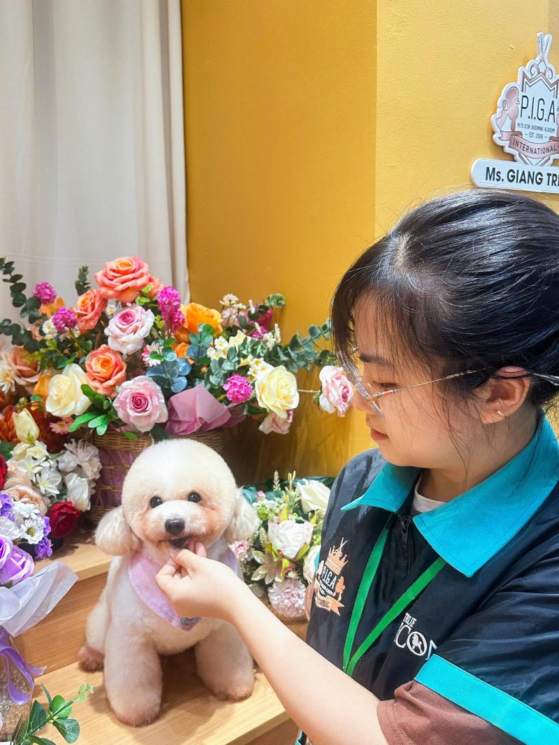 Master Giang Trịnh - Học viện đào tạo cắt tỉa lông thú cưng Pet Icon