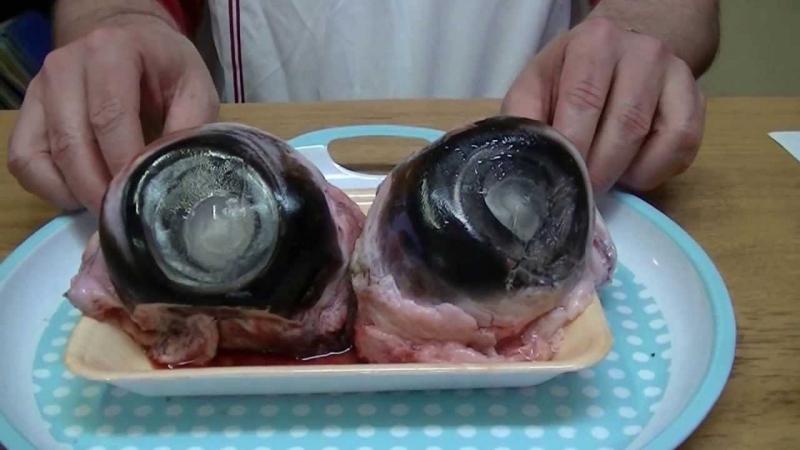 Mắt cá ngừ - Nhật Bản