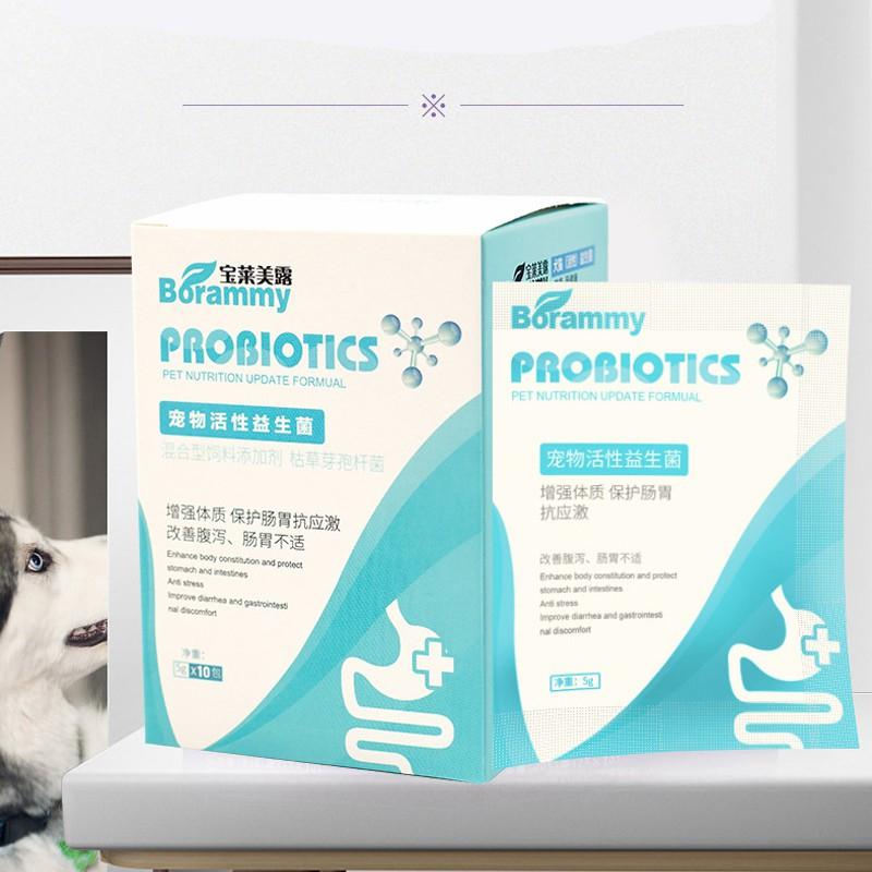 Men vi sinh cho chó mèo CHZK probiotics