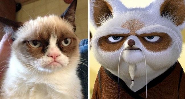 Mèo Grumpy và Master Shifu từ Kung Fu Panda