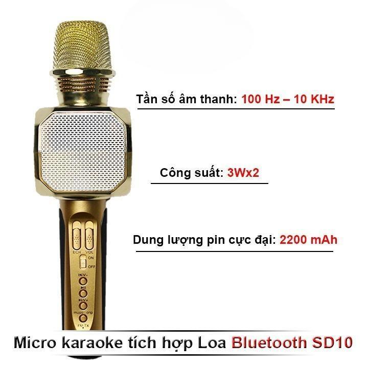 Micro karaoke bluetooth Degoune