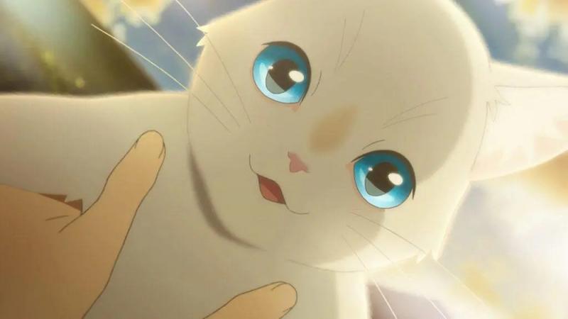Miyo Sasaki (Khi muốn khóc, tôi đeo mặt nạ mèo)