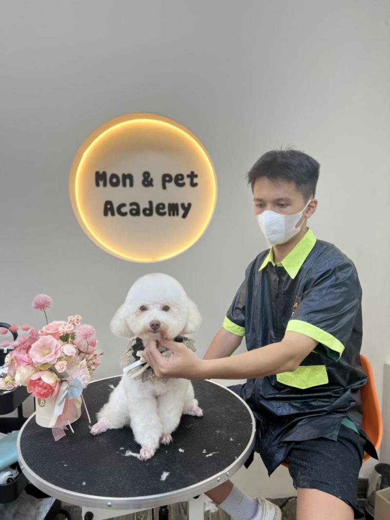 Mon&Pet Academy