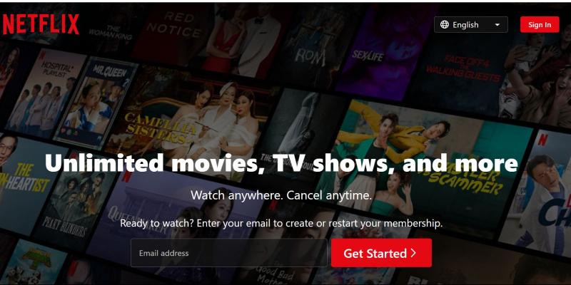 Netflix là một trong những website xem phim trực tuyến lớn nhất và rất nhiều chương trình truyền hình độc quyền trên đây