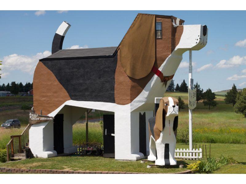 Ngôi nhà Chó cưng ở Cottonwood, Idaho