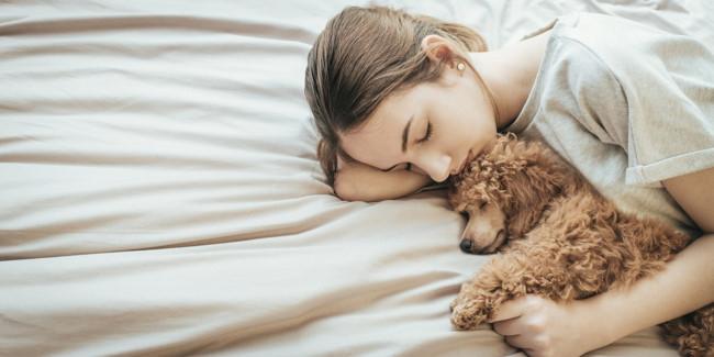 Lông từ chó, mèo cũng có thể rụng và nếu hít phải khi ngủ sẽ gây vấn đề lớn tới hệ hô hấp