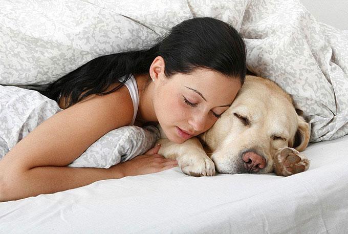 Ngủ với thú cưng