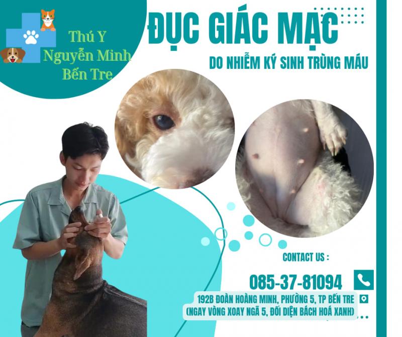 Nguyễn Minh Pet Clinic