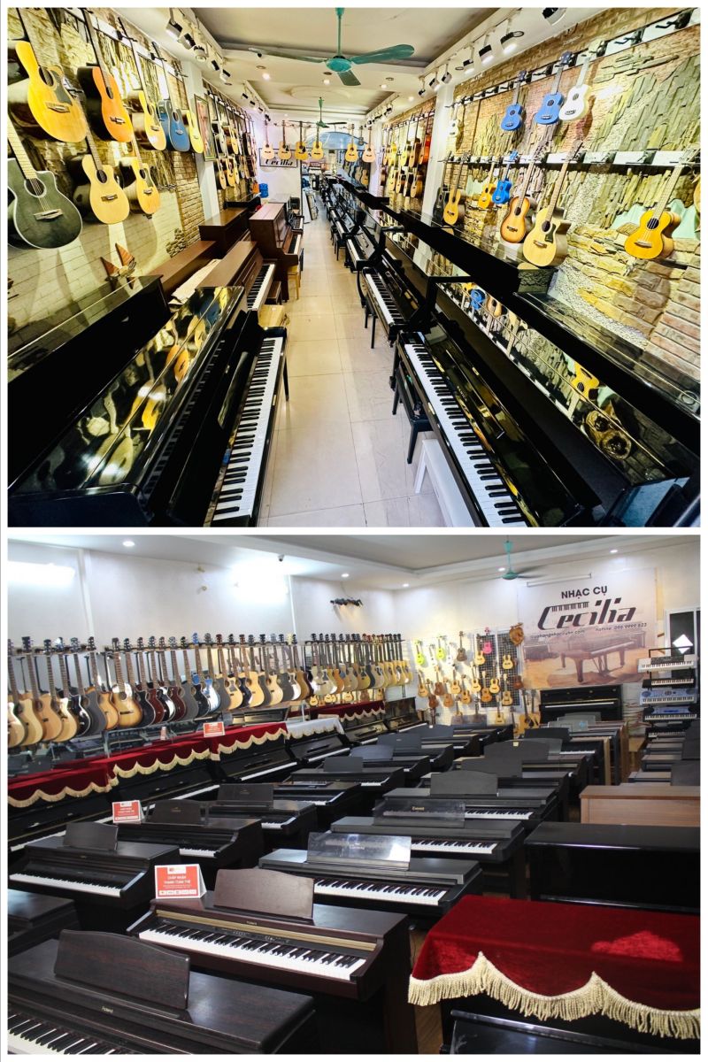 Tại showroom Nhạc Cụ Cecilia Luôn có sẵn hàng trăm cây đàn khác nhau đủ các lựa chọn