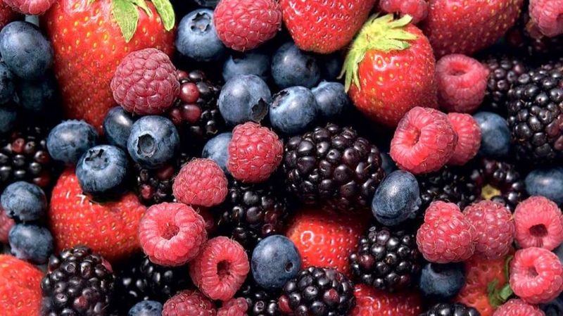 Nhóm những loại quả mọng họ Berry ( Superberries)