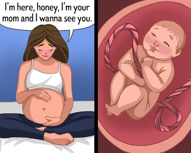 Những điều em bé có thể học trong bụng mẹ