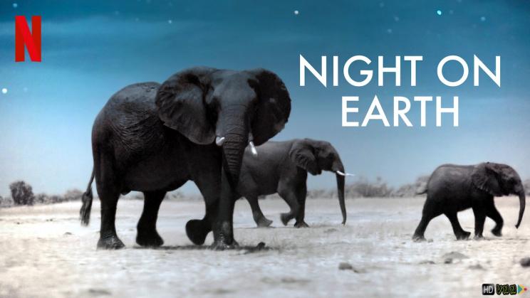 Night on Earth (2020)