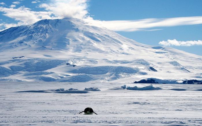 Núi lửa ở Nam Cực và những trận phun trào tuyết