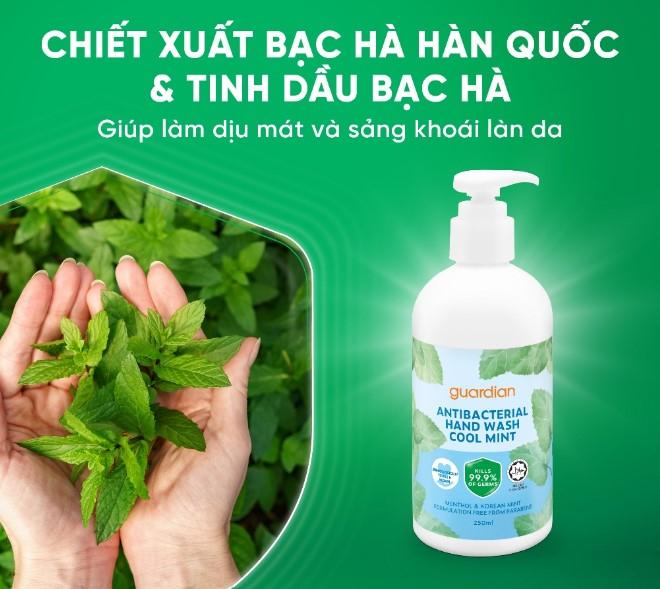 Nước rửa tay sạch khuẩn Guardian Antibacterial Handwash Cool Mint