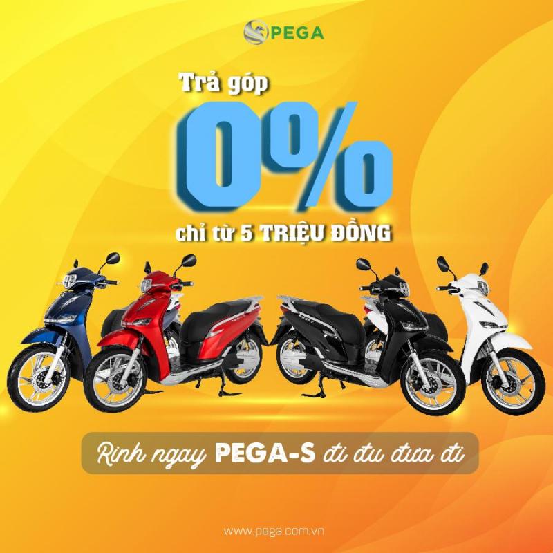 PEGA Electrical bike