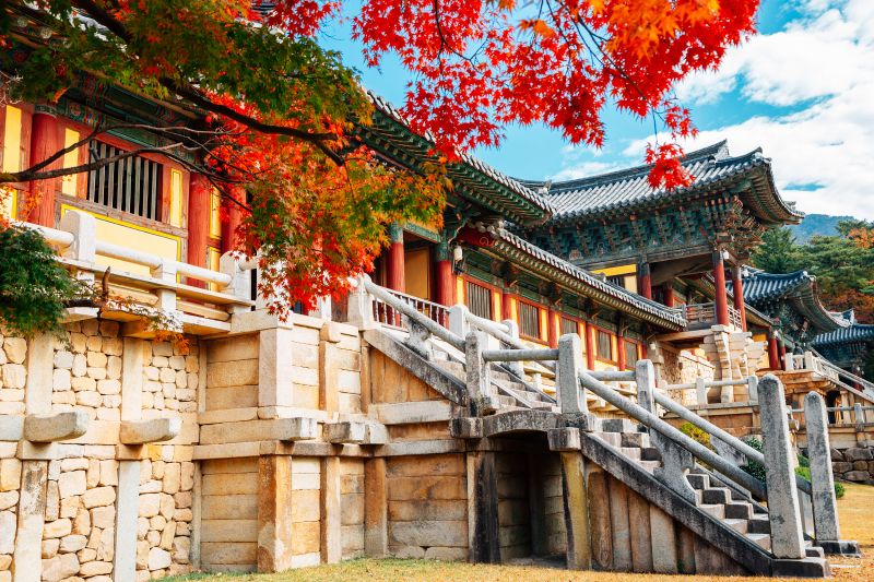 Công trình chùa Phật Giáo lớn nhất Hàn Quốc