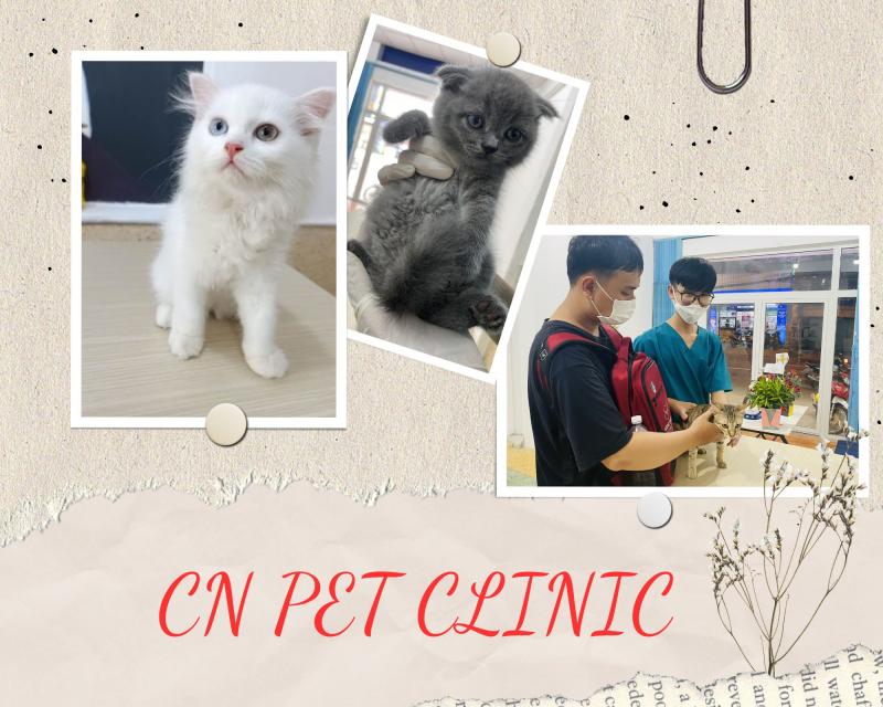 Phòng Khám Thú Y CN Pet Clinic