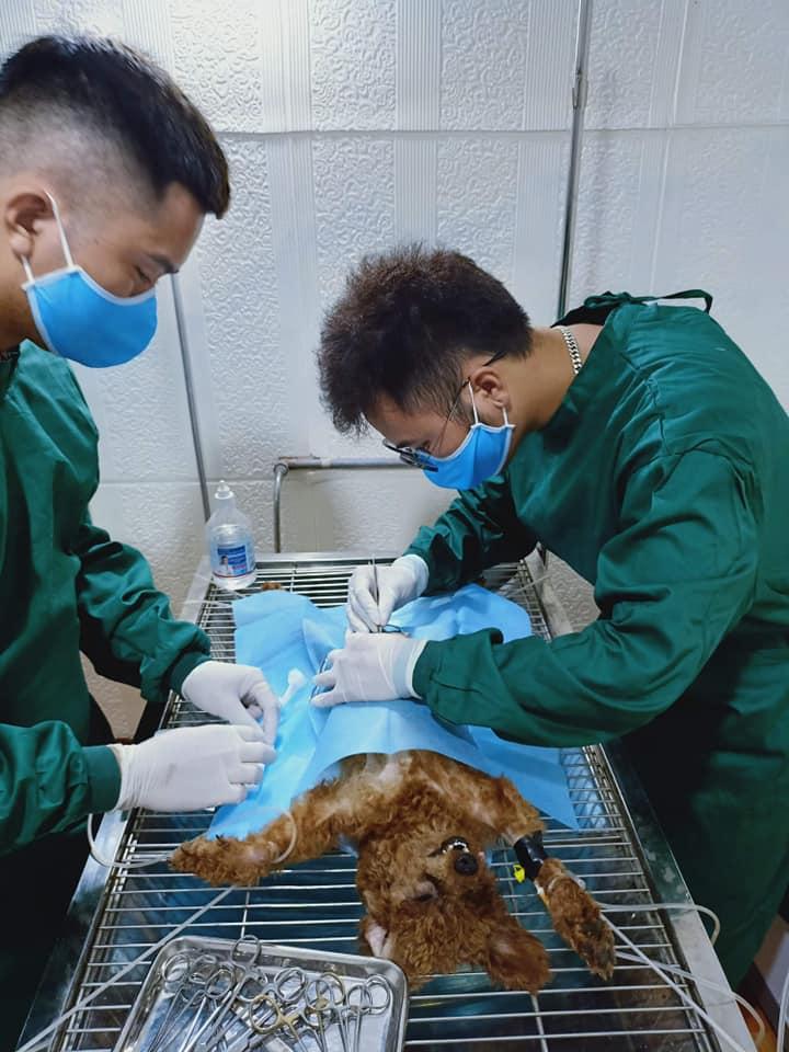 Phòng khám thú y ﻿Hà Nam - ﻿Dr Đoàn