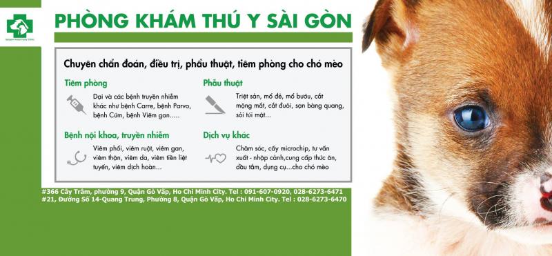 Phòng khám thú y Saigon Veterinary Clinic