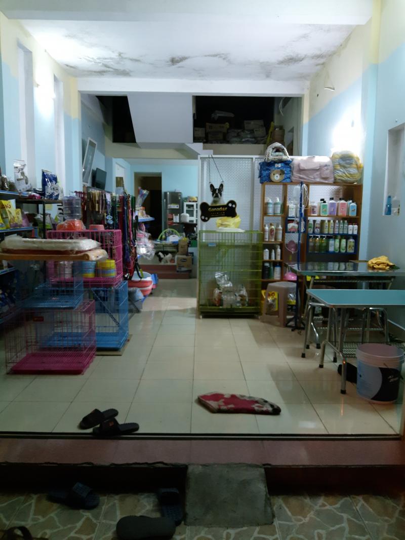Phòng khám thú y_Titi Pet Shop