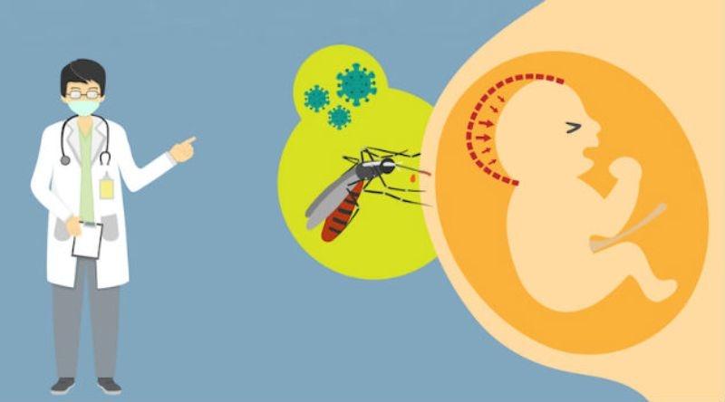 Vi-rút Zika có thể lây từ mẹ sang thai nhi