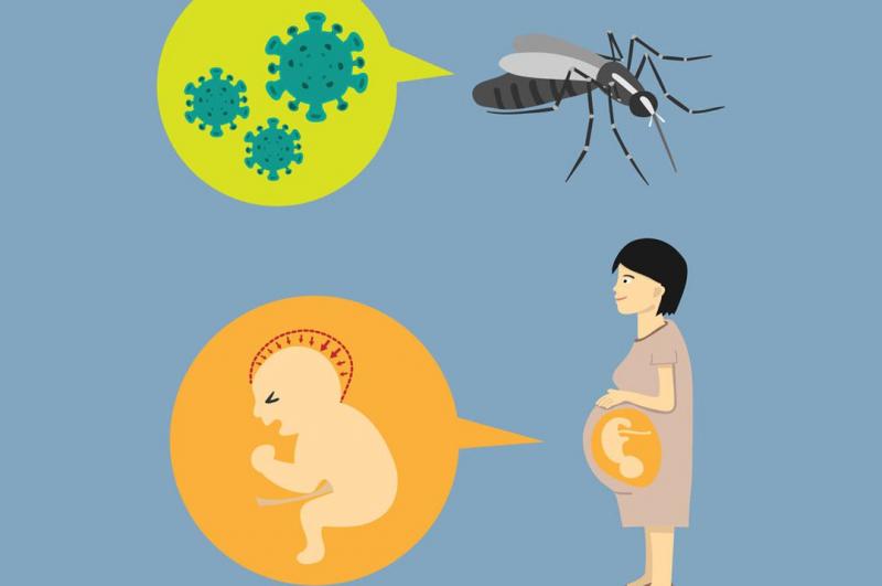 Phụ nữ mang thai nhiễm virus Zika gặp nguy hiểm gì?