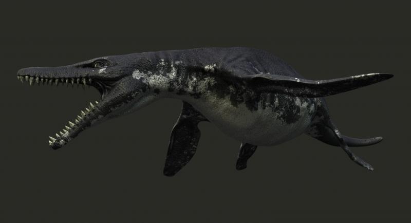 Predator X - Pliosaurs