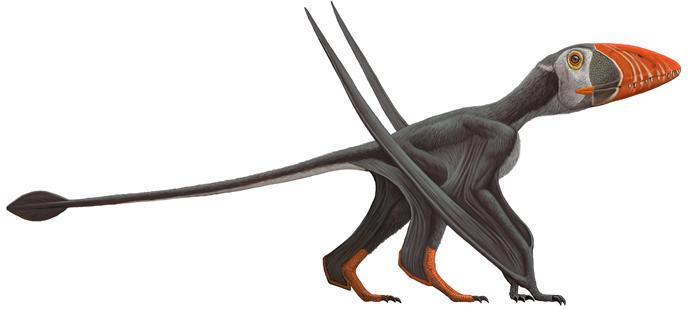 Pterosaurs và Marine Reptiles không phải là khủng long