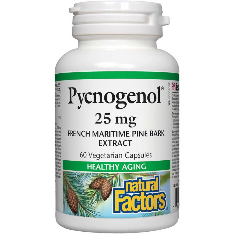 Pycnogenol là gì?