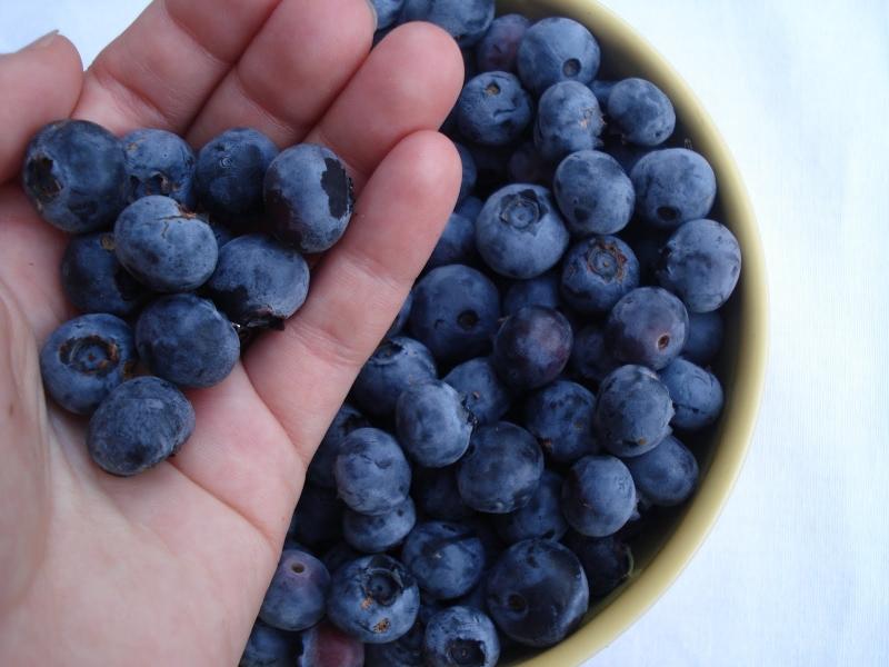 Quả Việt quất (Blueberries) rất tốt cho não