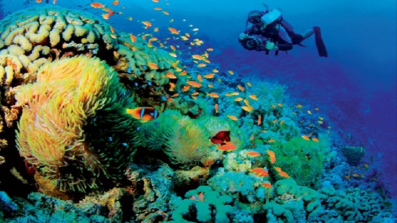 Rạn san hô Florida, Hoa Kỳ