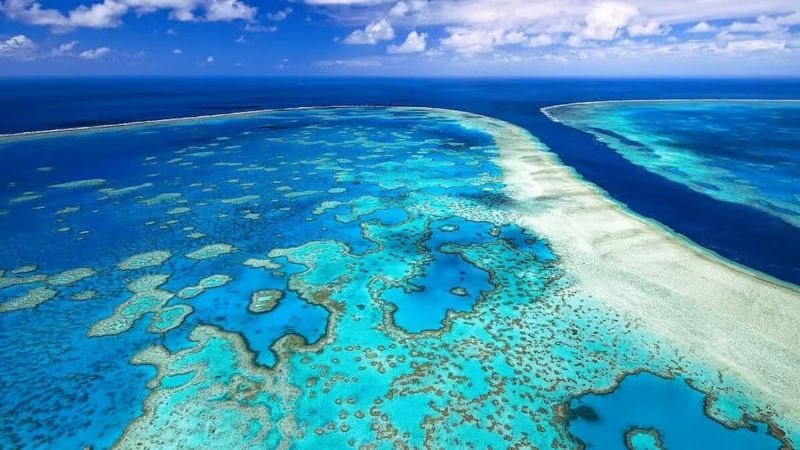 Kỳ quan thiên nhiên hùng vĩ rạn san hô Great Barrier (Great Barrier Reef)