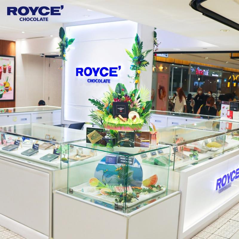 Royce' Chocolate Vietnam