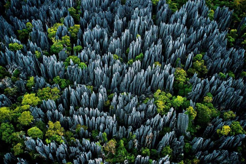 “Rừng đá” ở Tsingy de Bemaraha, Madagascar