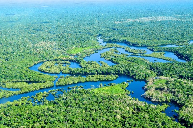 Rừng Amazon rộng lớn quanh sông Amazon