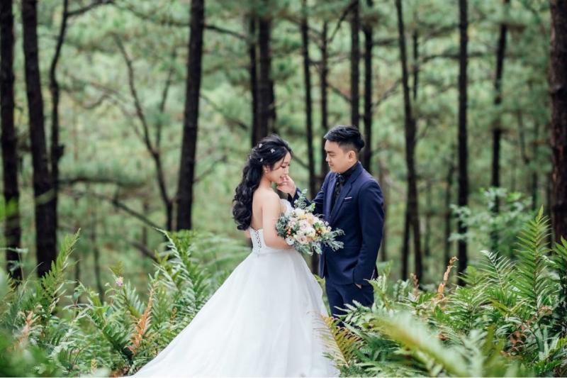 Ảnh cưới tại rừng dương xỉ Đà Lạt