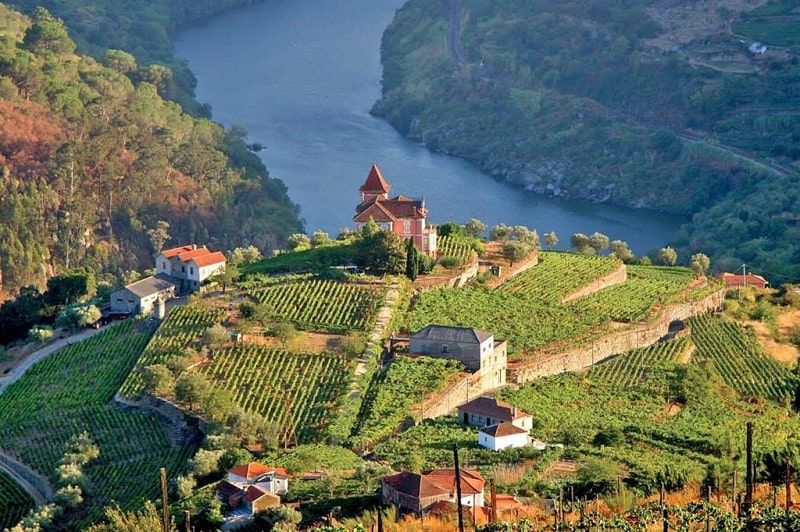Cánh đồng nho nổi tiếng ở thung lũng Douro, Bồ Đào Nha