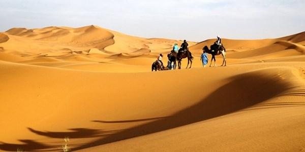 Sa mạc Thar - Ấn Độ và Pakistan